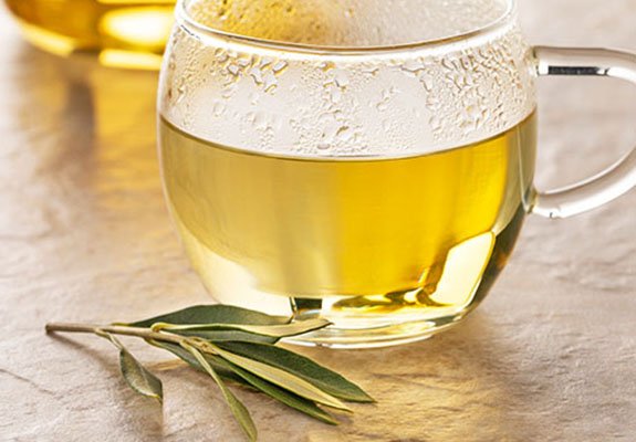 OLIVO, HOJAS DE OLIVO Y ACEITE DE OLIVA